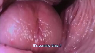 Journey to the Inside of the Pussy