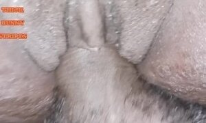 THICK BUNNY STRIPES CREAMPIE COMPILATION