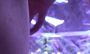 Filling horny teen's ass with cum in our greenhouse